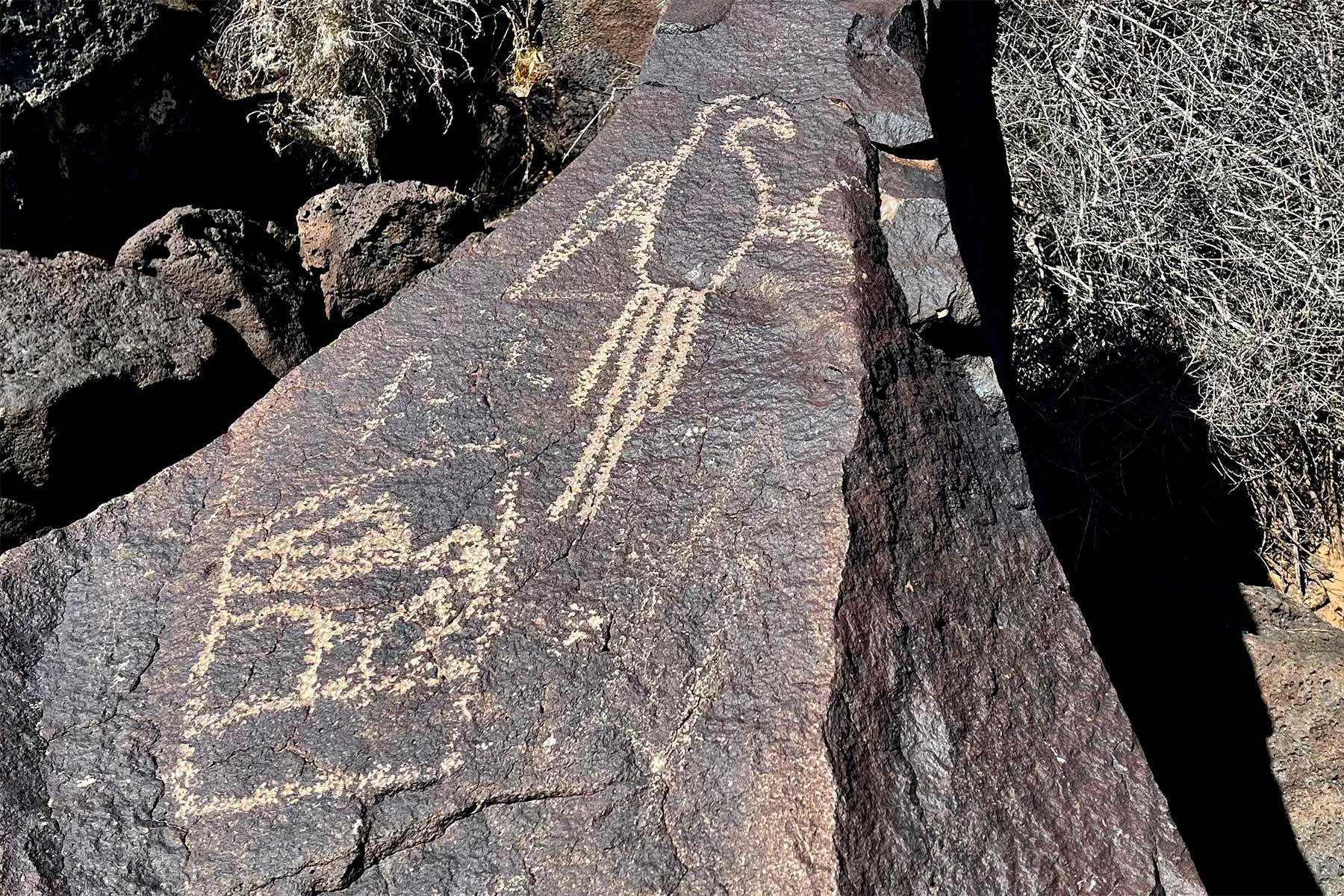 petroglyph national monument new mexico