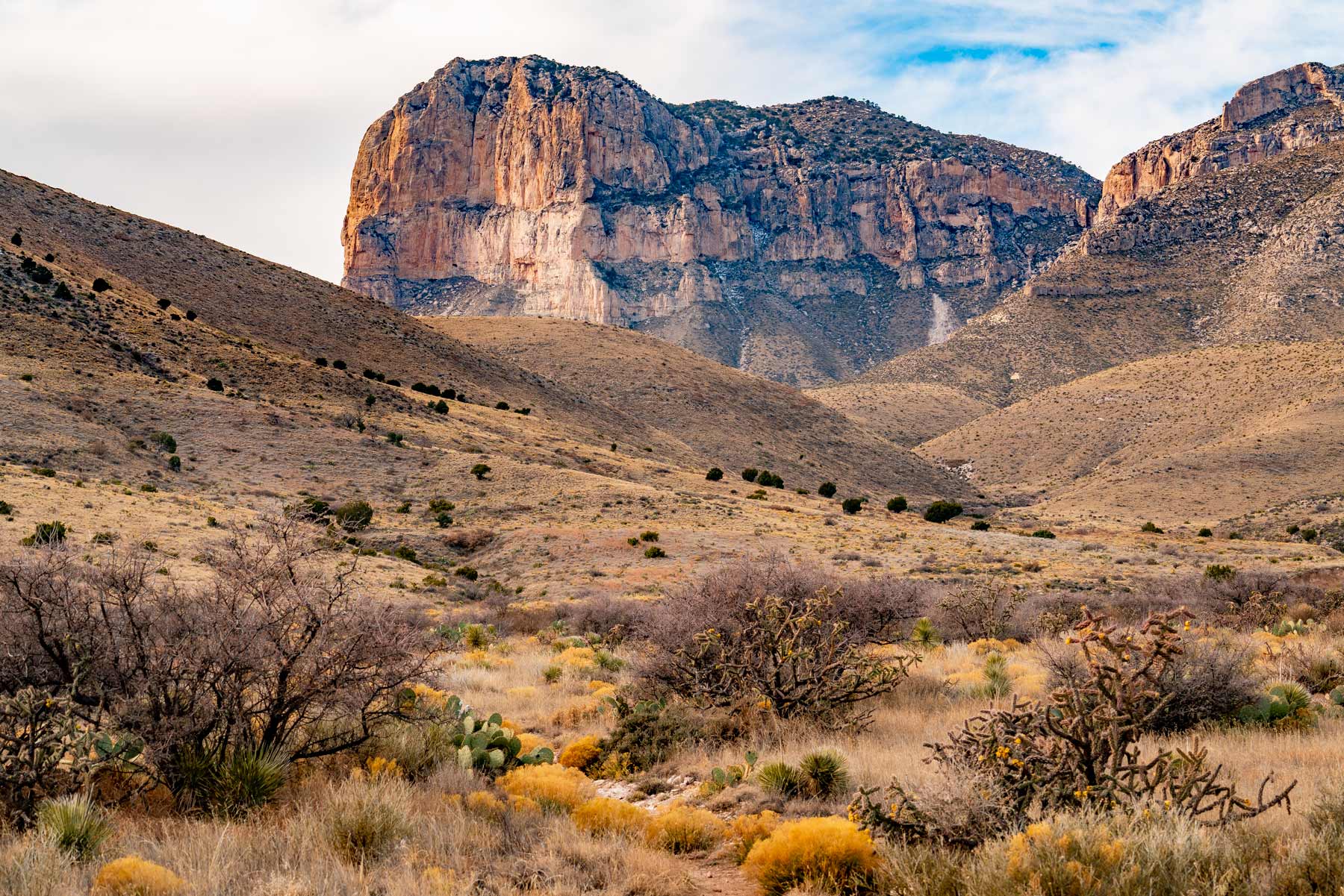 guadalupe mountains national park texas