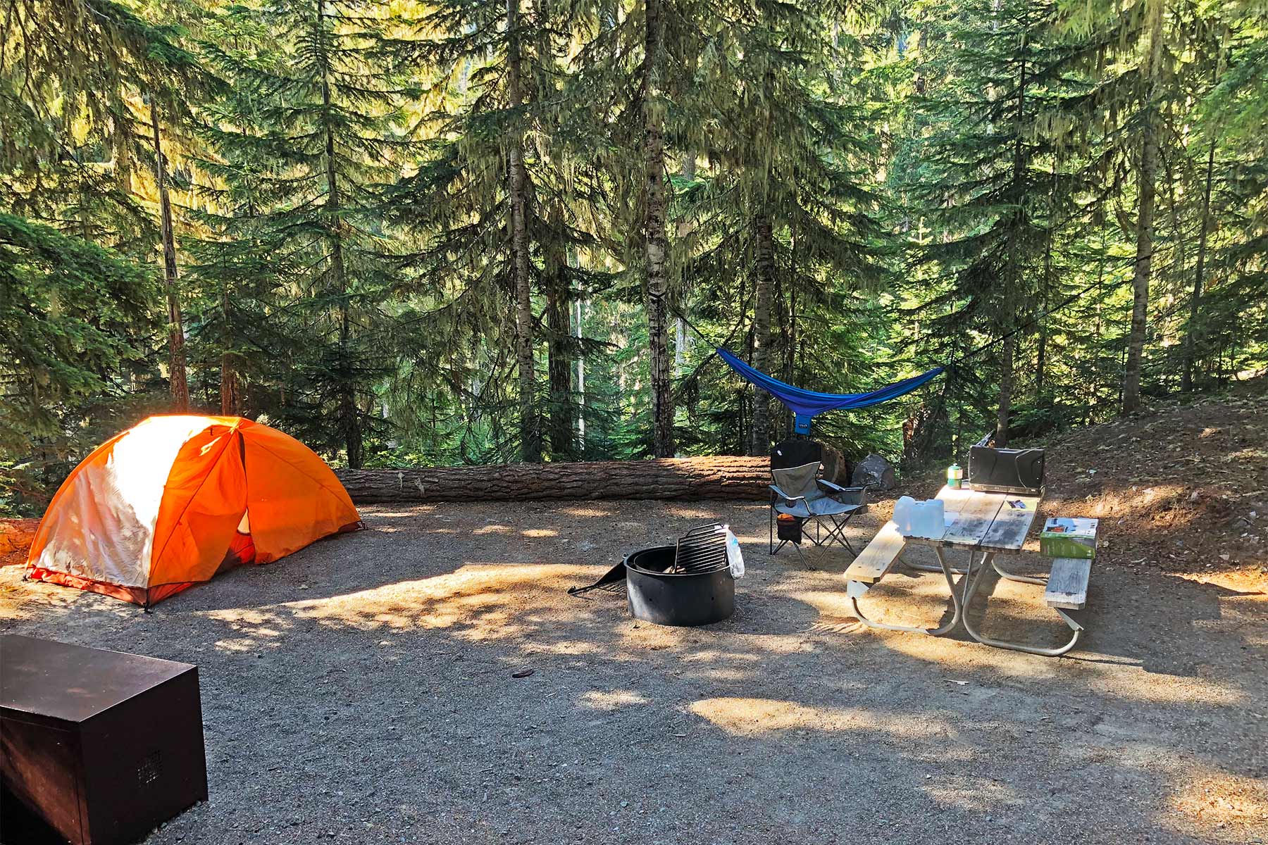Cougar Rock Campground Mount Rainier camping at mout rainier, National Park Washington