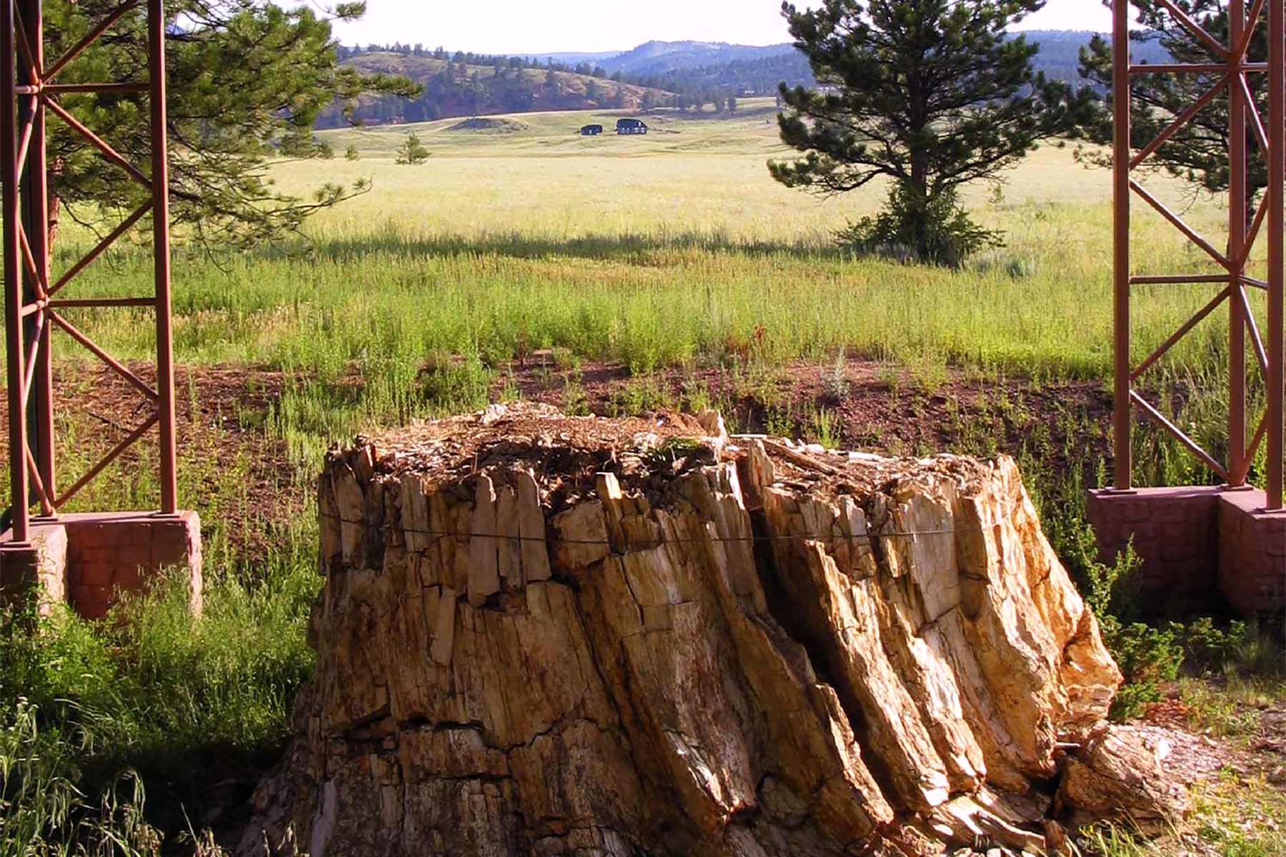 Florissant Fossil Beds National Monument Colorado