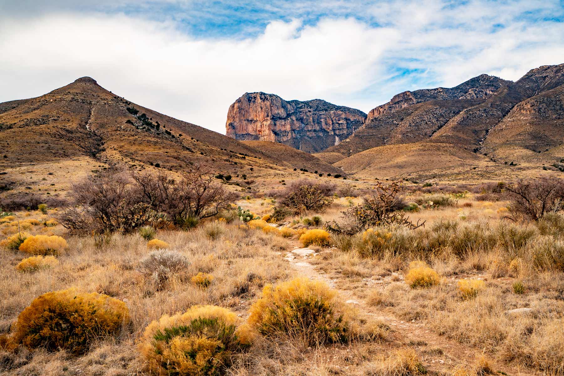 guadalupe mountains national park texas