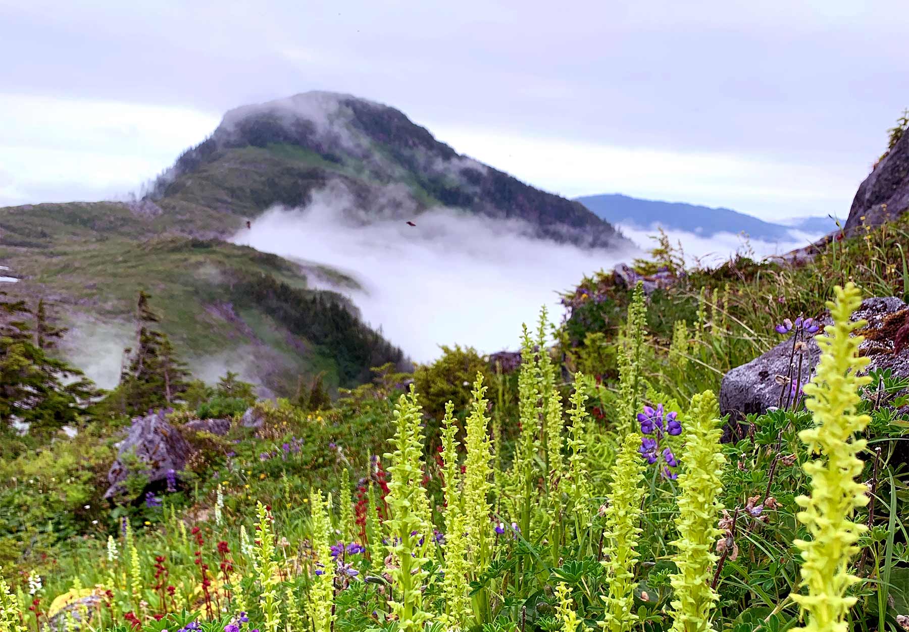 Misty Fjords National Monument Alaska