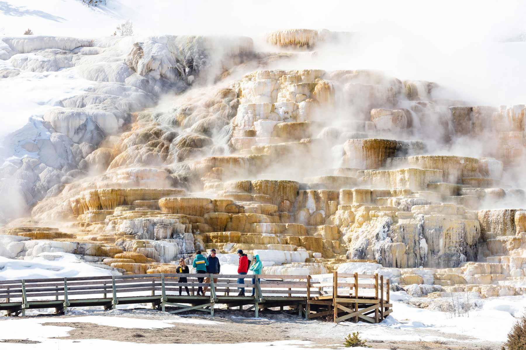 mammoth hot springs, yellowstone national park things to do