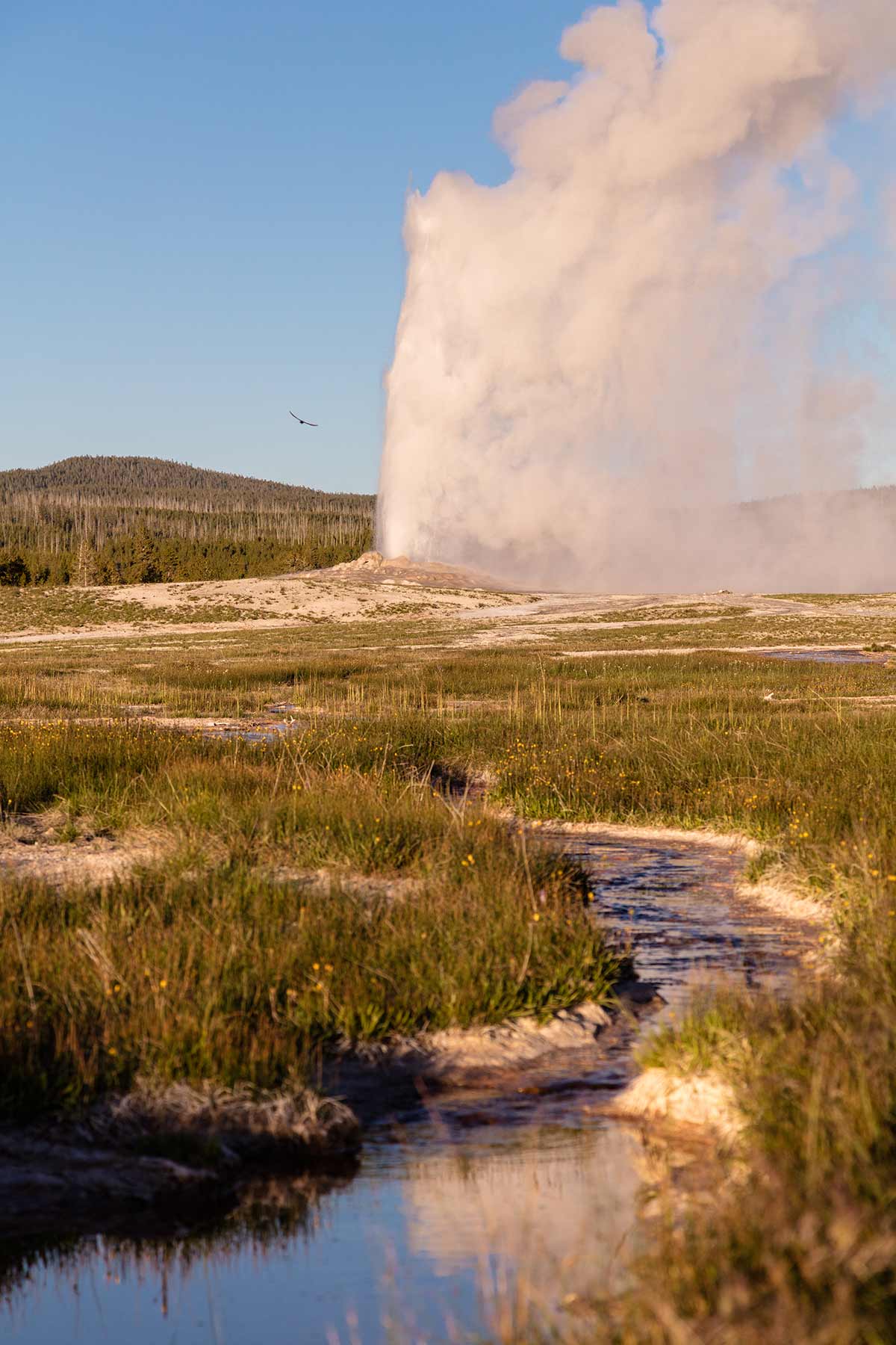 old faithful, things to do yellowstone national park