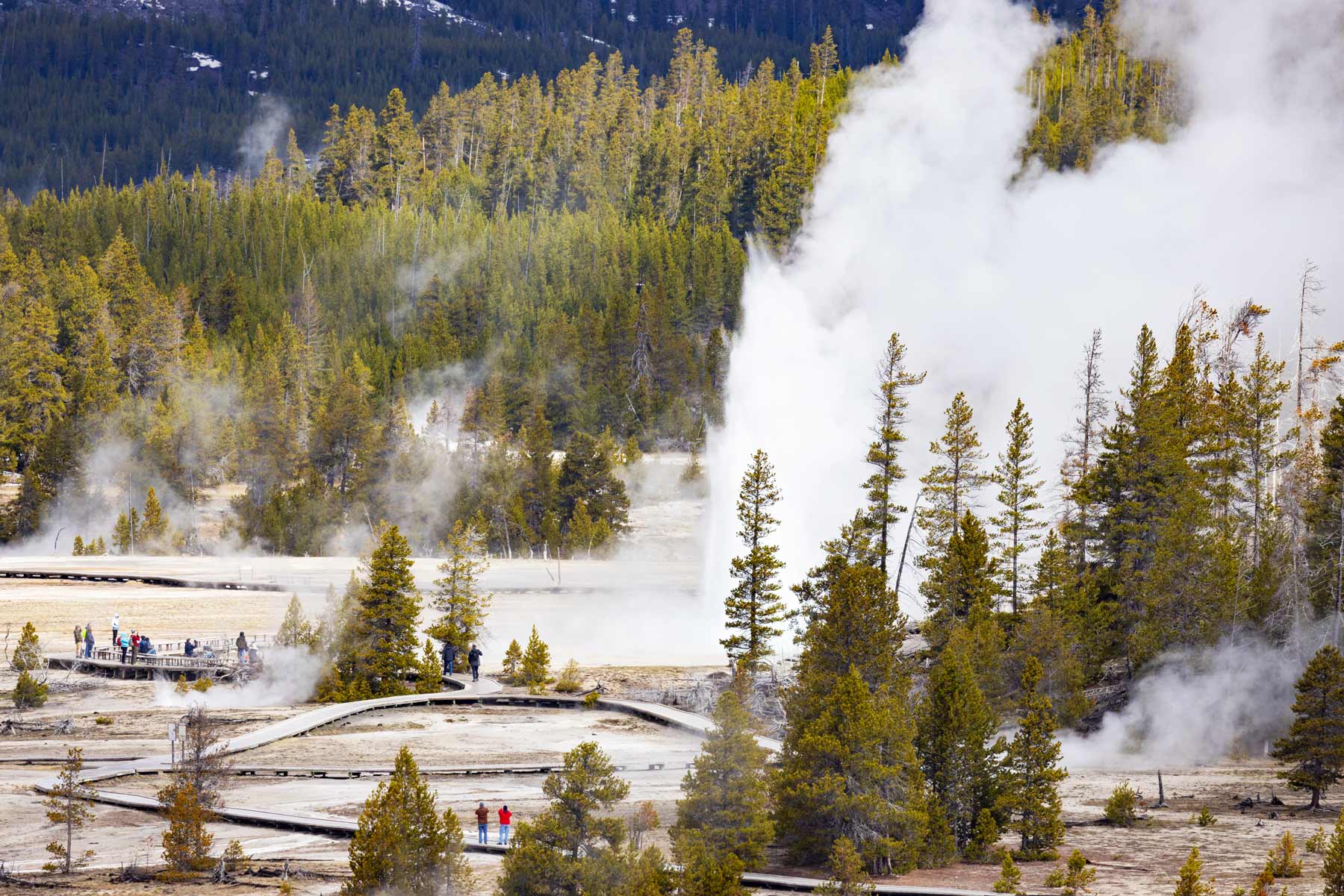 upper geyser basin, best things to do at yellowstone national park