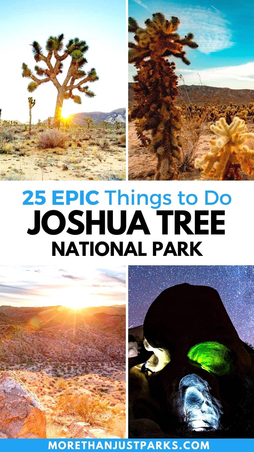 things to do joshua tree