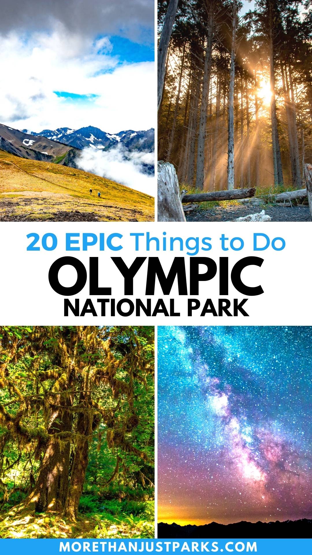 things to do olympic national park washington