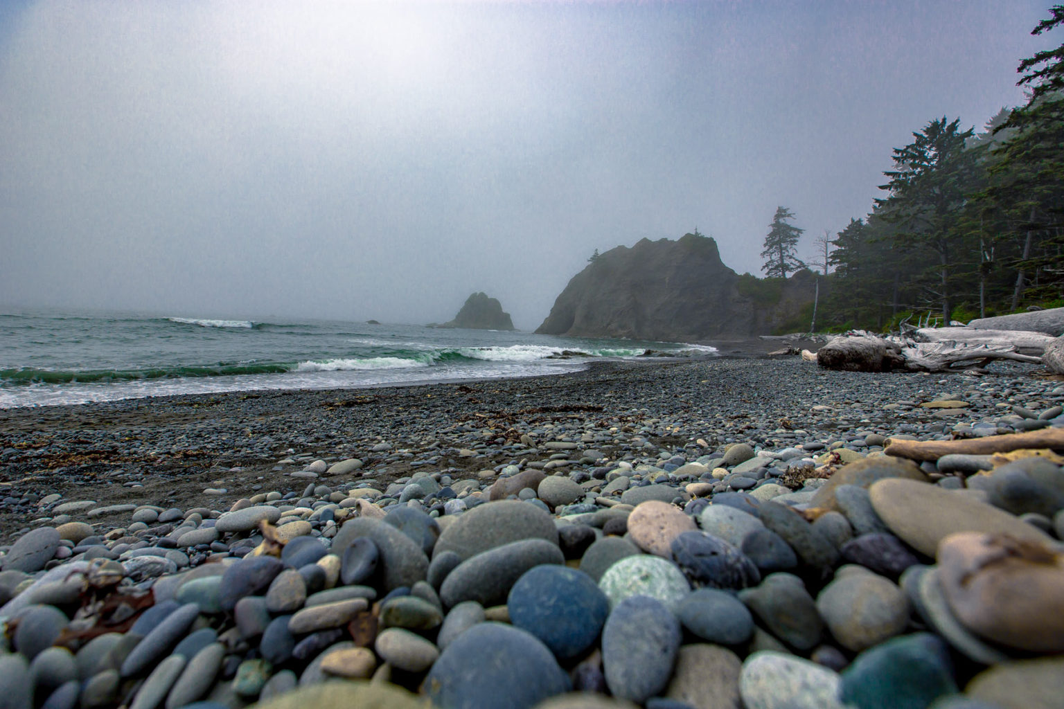 Things to do at olympic national park