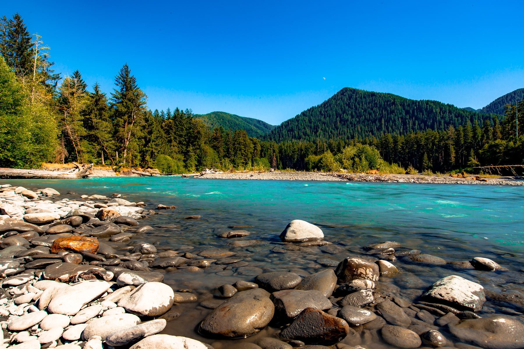 Olympic National Park Facts