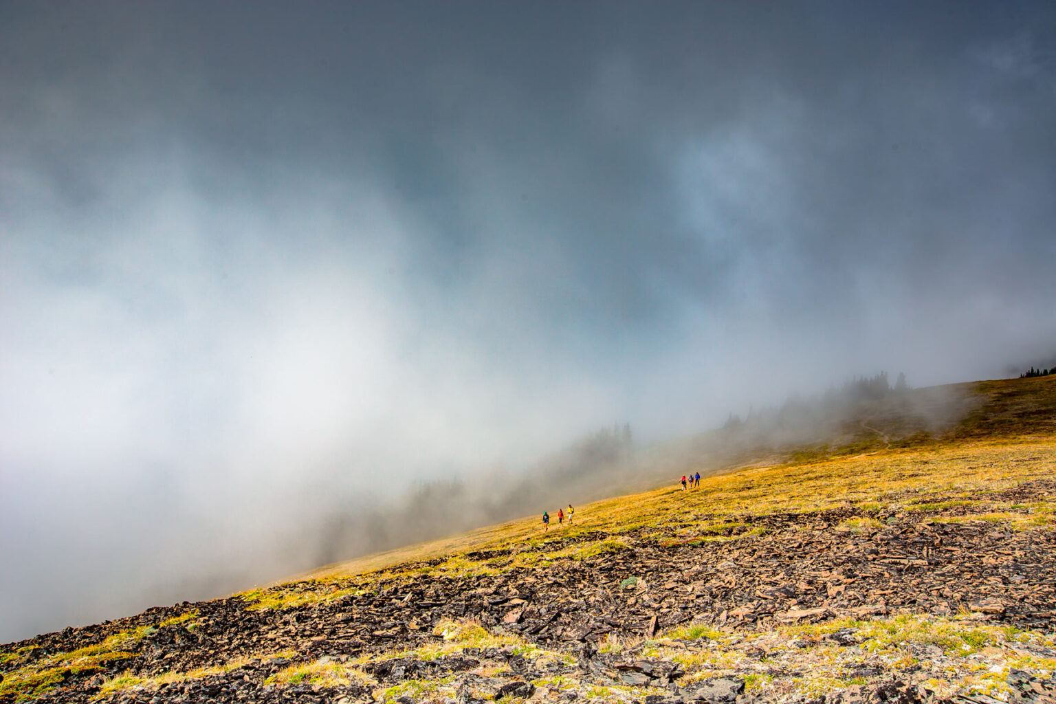 Fog over the gold meadow at Obstruction Point.