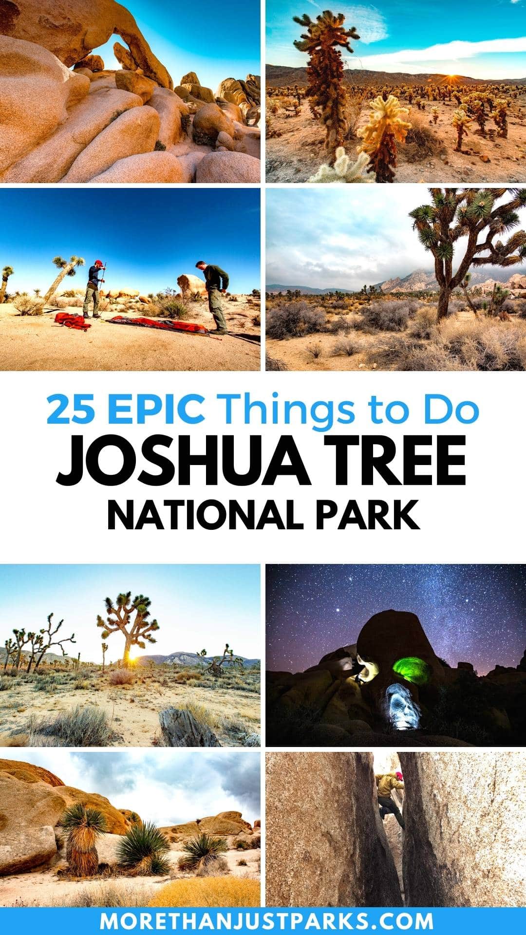 things to do joshua tree