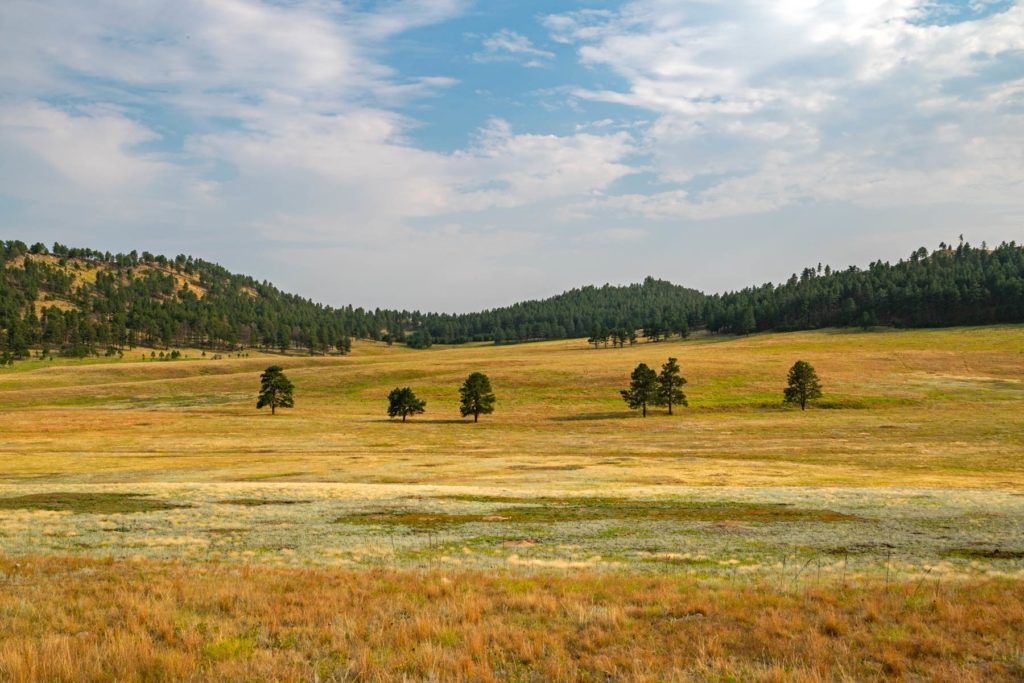 The prairie and ponderosa above the cave.