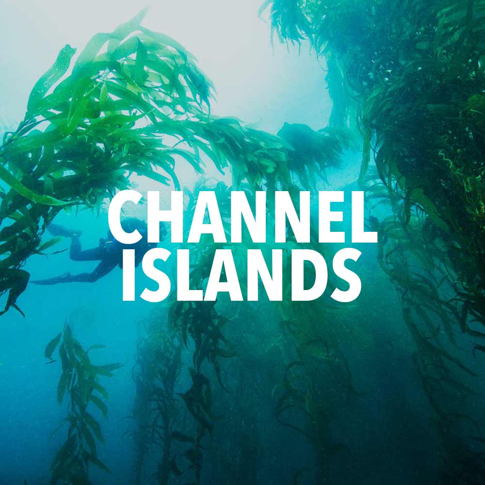 channel islands national park