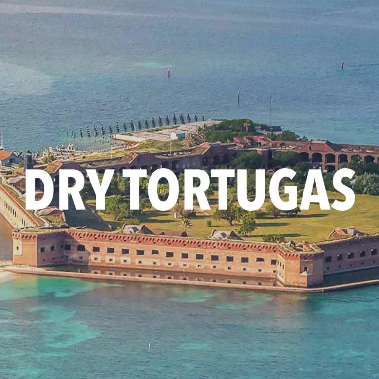 12 Amazing Facts About Dry Tortugas National Park
