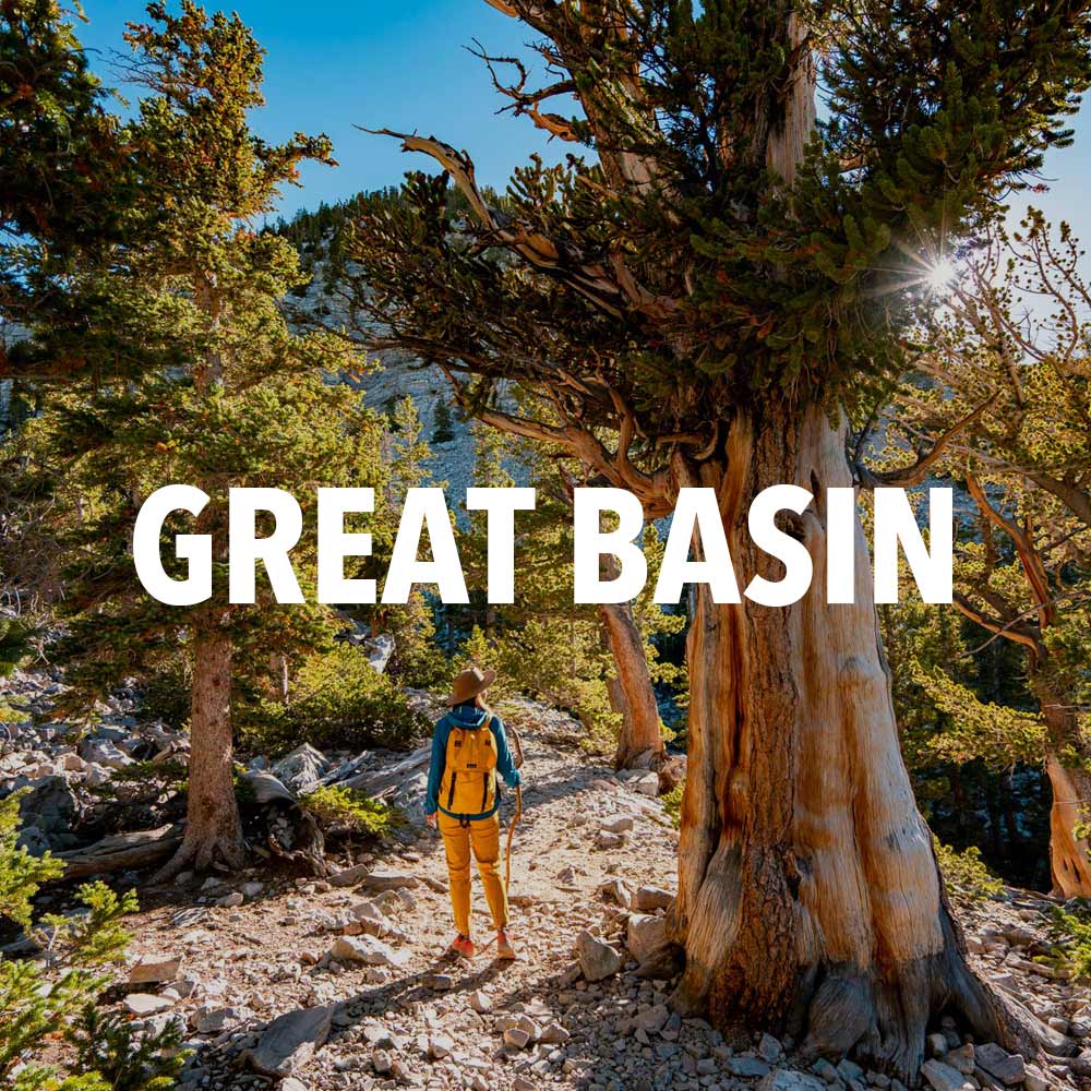 great basin national park