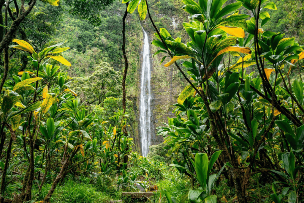 Waimoku Falls | National Parks Near Honolulu