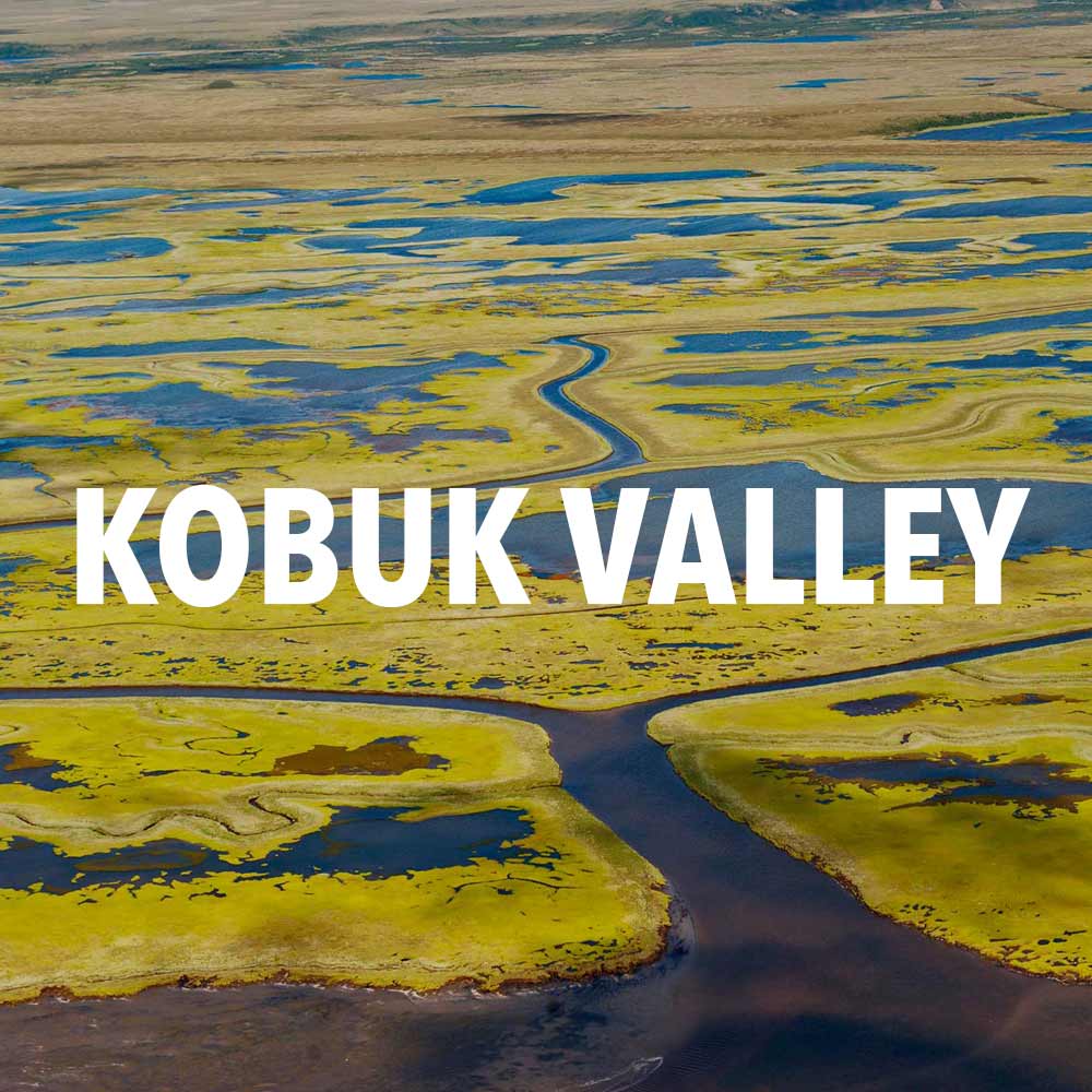 kobuk valley national park
