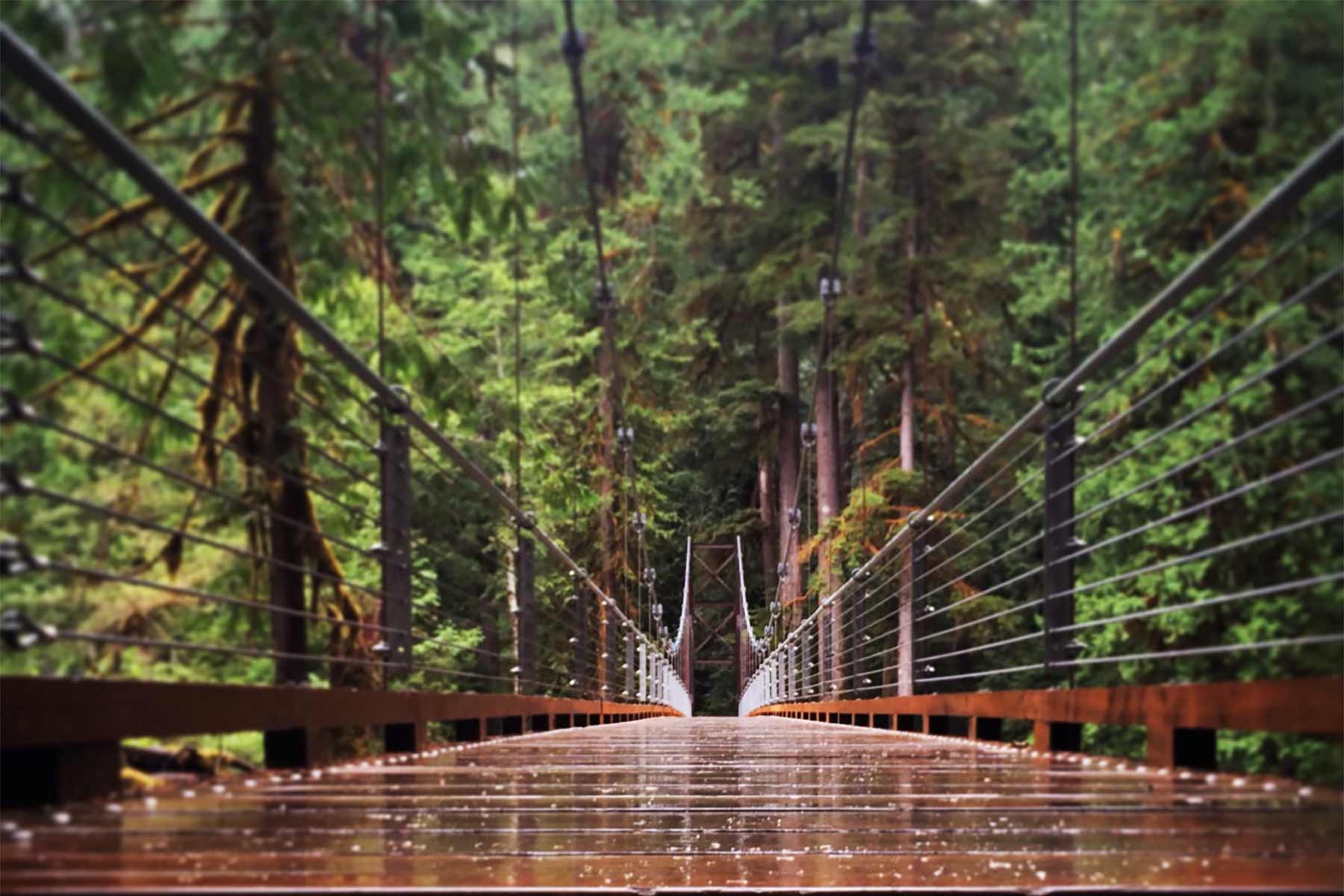 olympic national park staircase bridge
