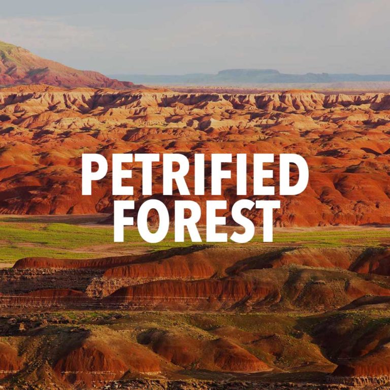 10 Amazing Facts About Petrified Forest National Park