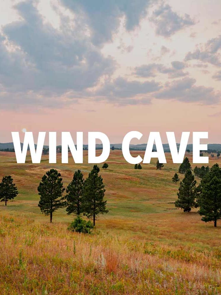 10 AMAZING Facts About Wind Cave National Park