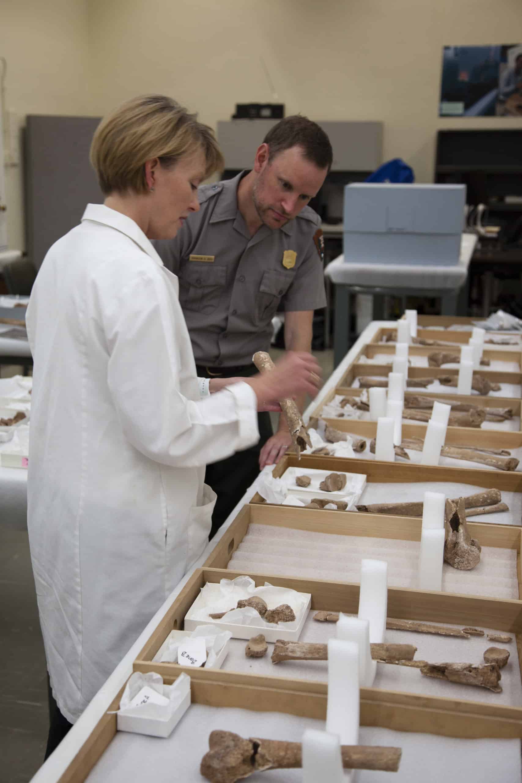 Manassas National Battlefield Park Superintendent Brandon Bies inspects an amputated limb with Smithsonian scientist Kari Bruwelheide, 2018. Bies is a trained archeologist and participated in the excavation at Manassas.