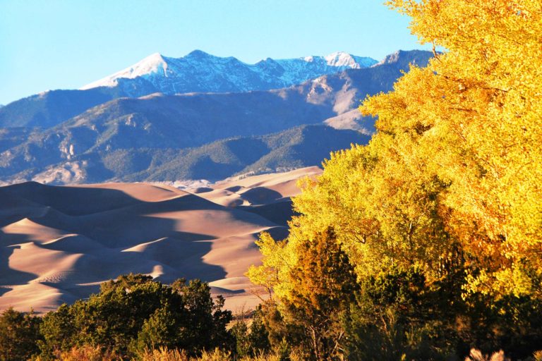 fall foliage great sand dunes national park colorado