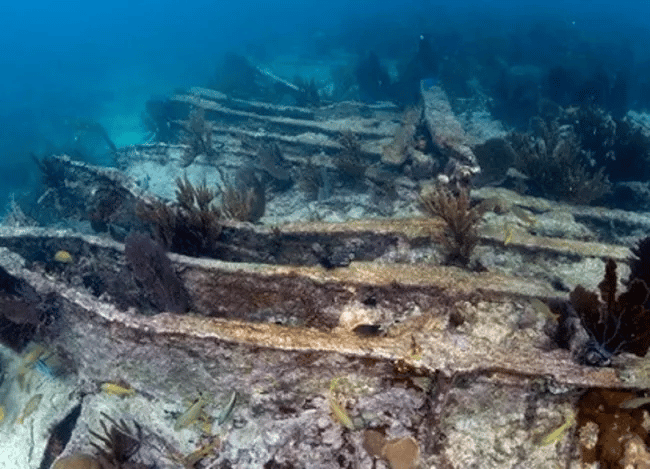 Arratoon Apcar Shipwreck | Biscayne National Park Facts