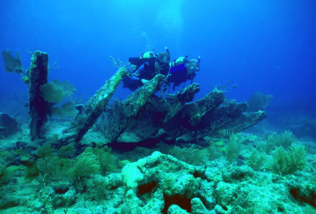 Alicia Shipwreck | Biscayne National Park Facts
