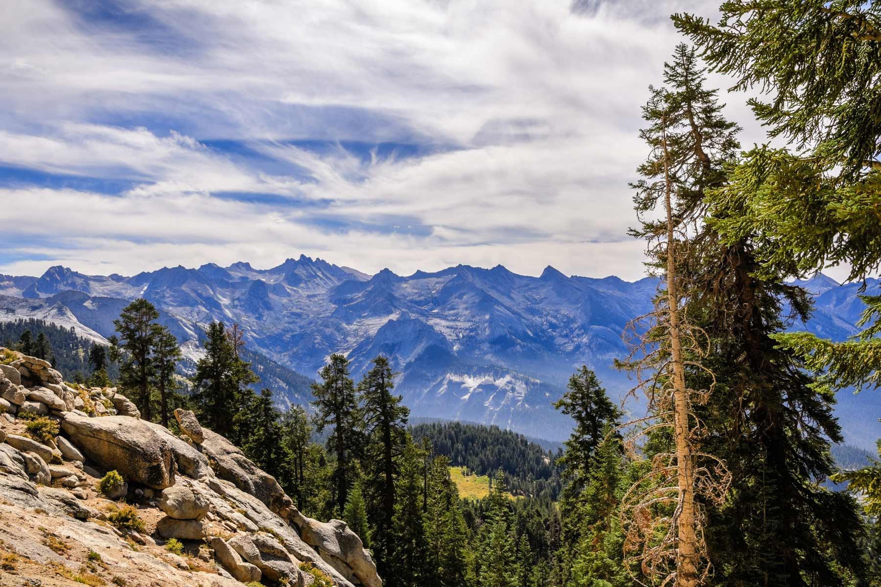 alta peak sequoia national park