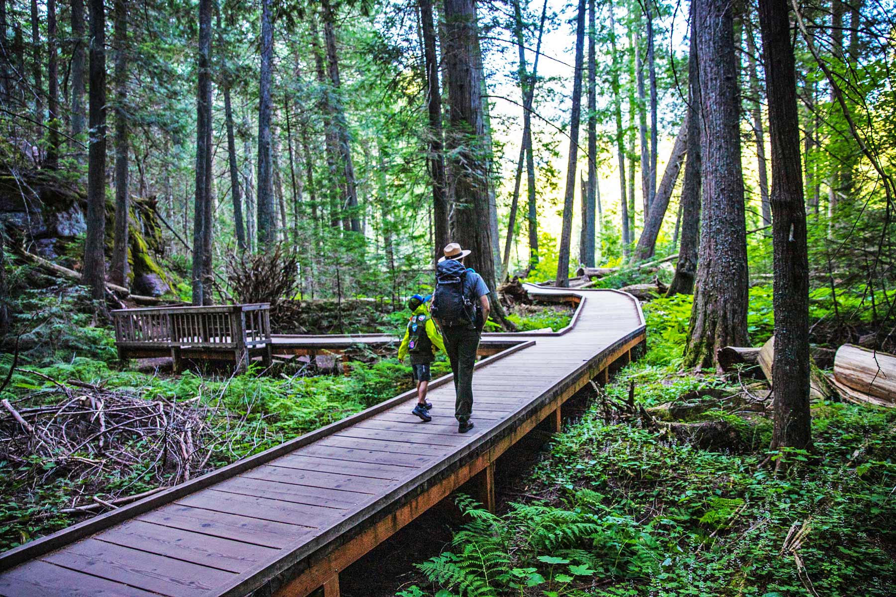 trail of the cedars, glacier national park hikes