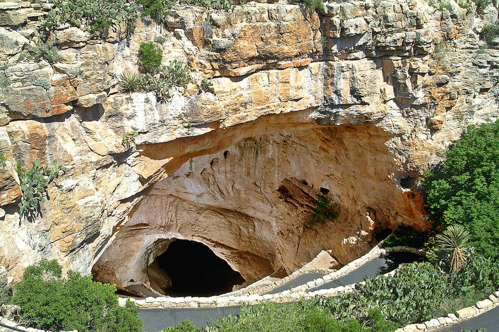 Switchbacks descend into the natural entrance of Carlsbad Caverns | Carlsbad Caverns National Park Facts 
