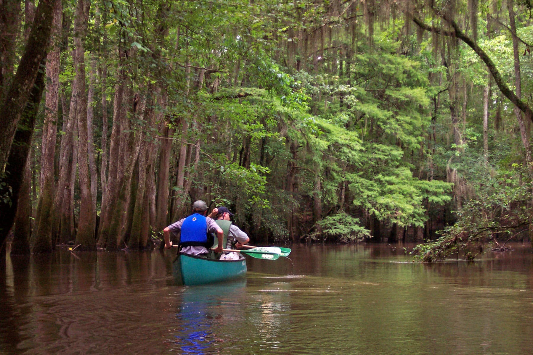 canoeing congaree national park