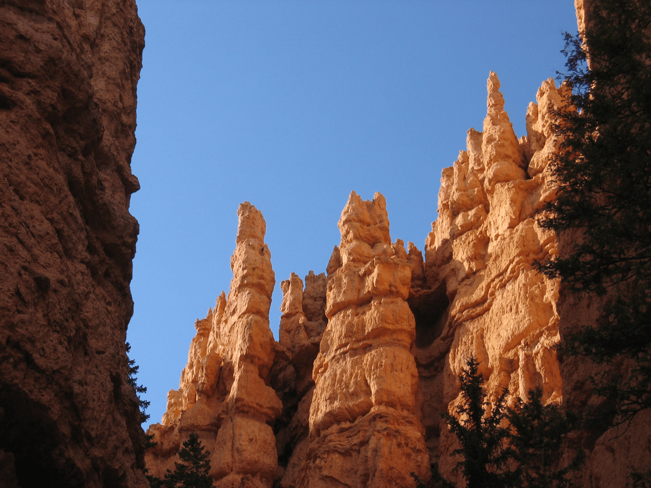 Hoodoos at Bryce Canyon