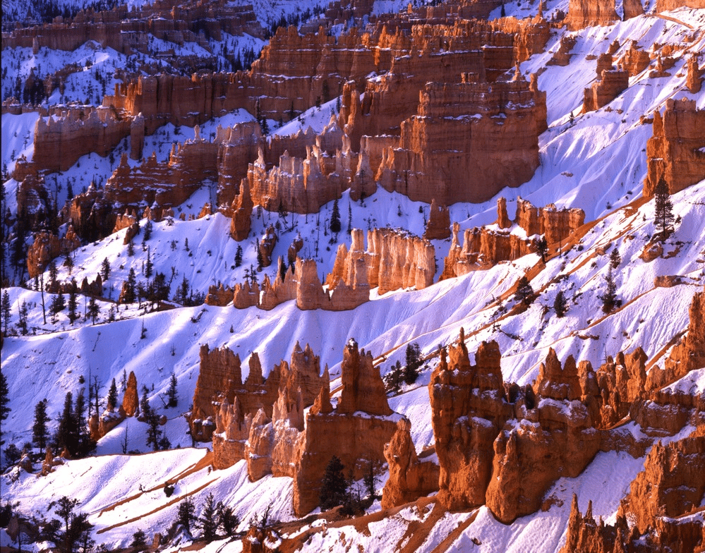 Bryce Amphitheater and hoodoos with covering of snow | Bryce Canyon Facts