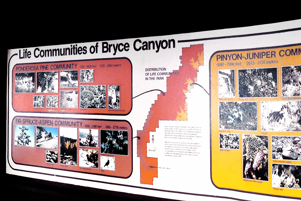Information board about plant communities of Bryce Canyon National Park