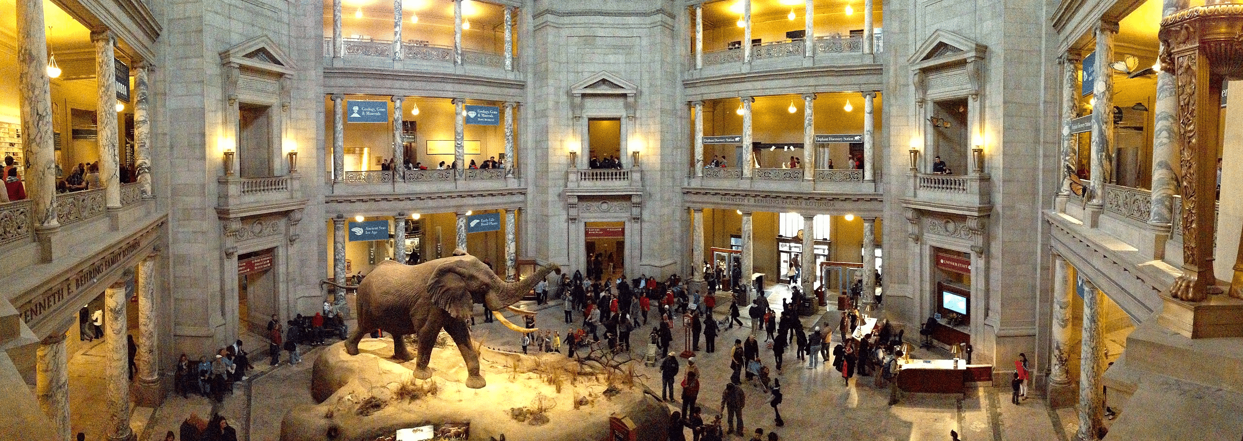 Panoramic view of the Rotunda at the National Museum of Natural History