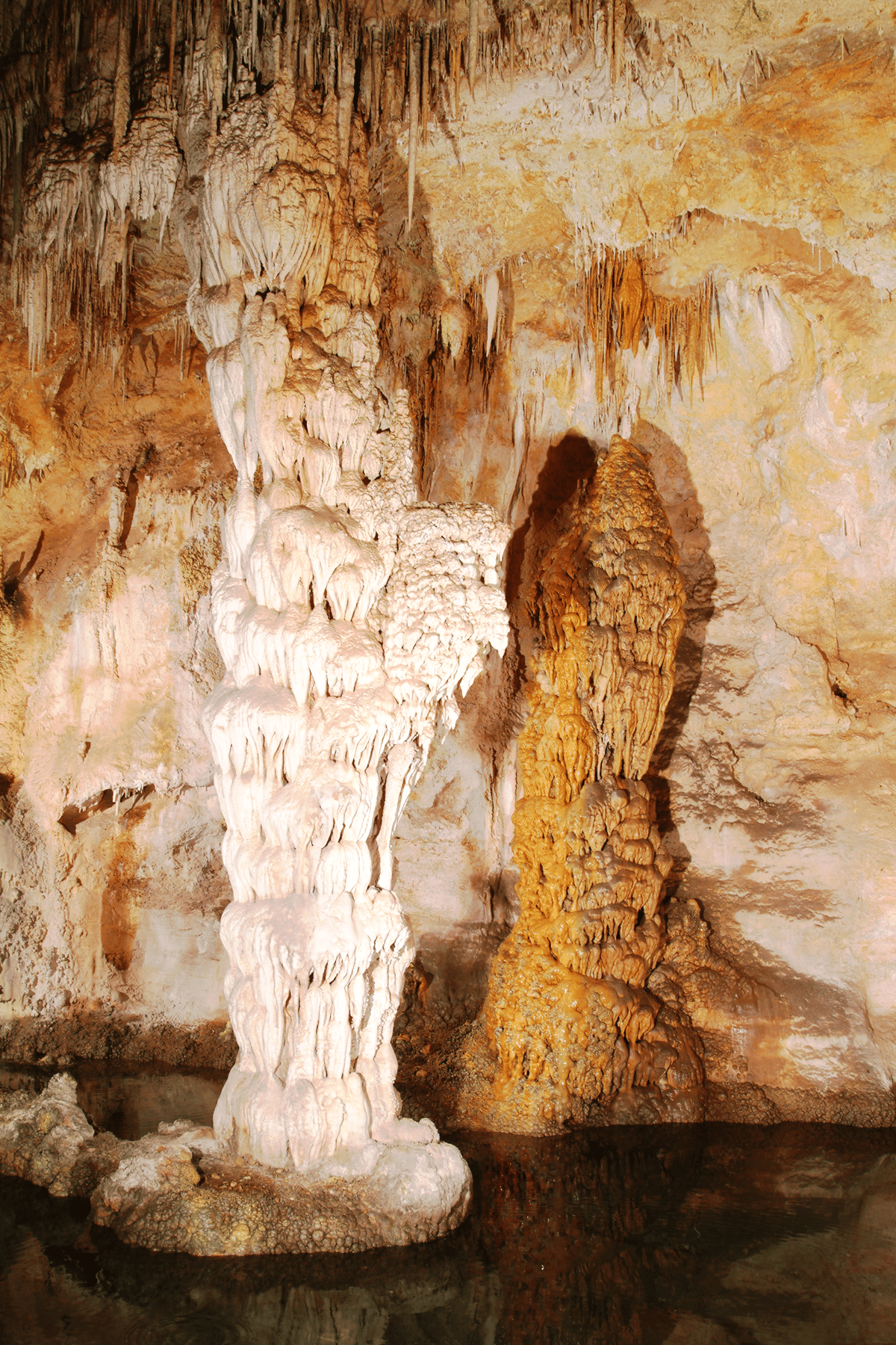 Devil's Spring in Carlsbad Caverns | Carlsbad Caverns National Park Facts
