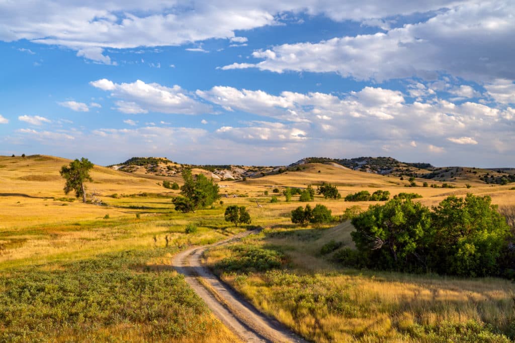 10 EPIC Things to Do in Buffalo Gap National Grassland