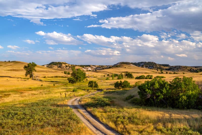 10 EPIC Things to Do in Buffalo Gap National Grassland
