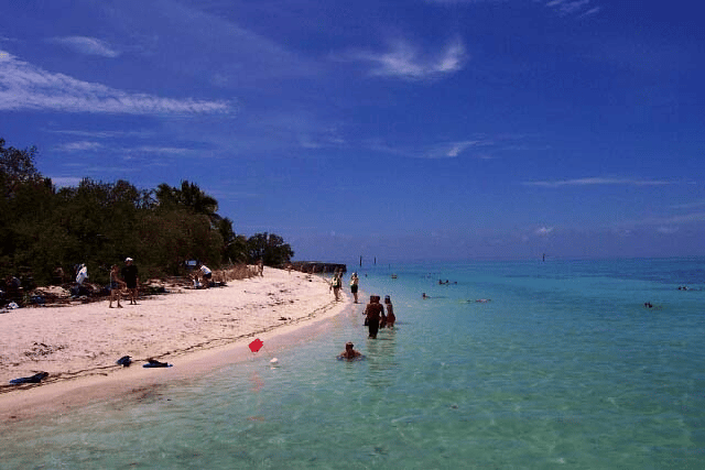 Visitors enjoying the beautiful beaches of Dry Tortugas