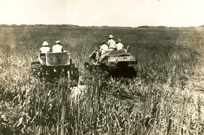 Gladesmen in swamp buggies | Everglades National Park Facts 