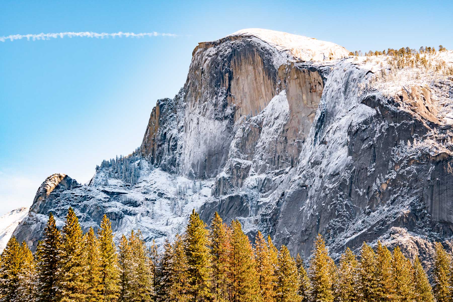 A wintery view of Half Dome with golden trees at the base and snow gathered on the edges of the rock.