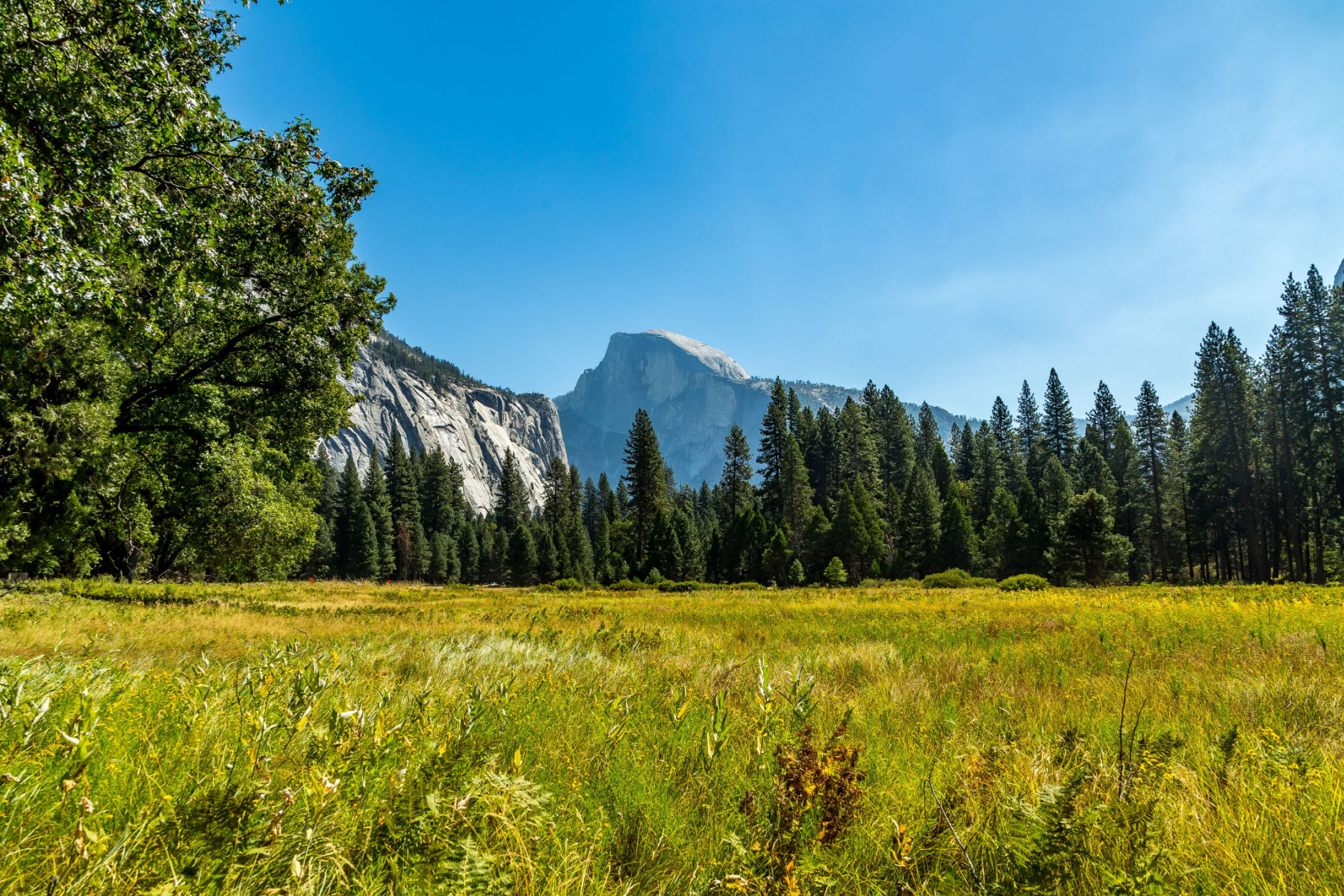 Tuloumne Meadows | Things to do Yosemite national park