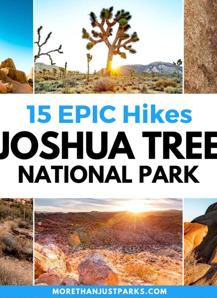 15 AMAZING Hikes in Joshua Tree National Park (Helpful Guide+ Photos)