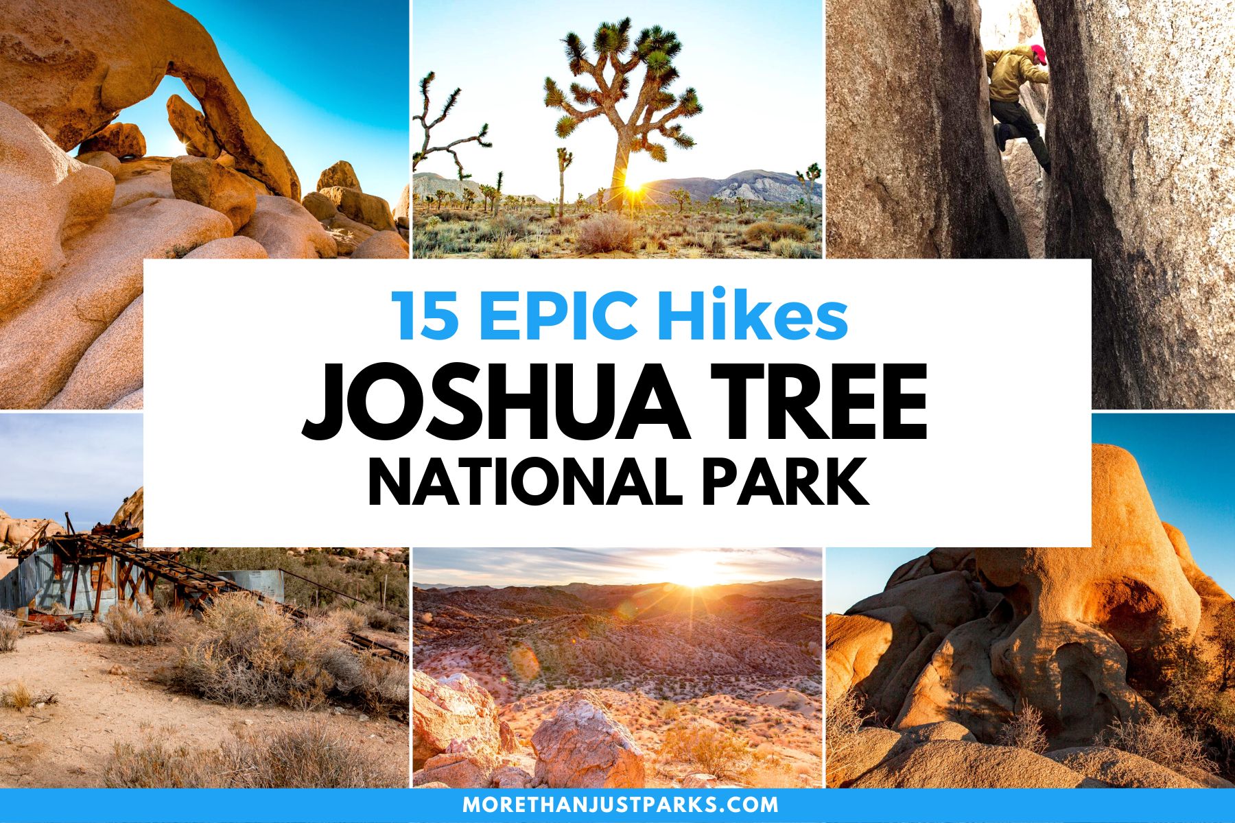 best hikes joshua tree national park, best hikes joshua tree california