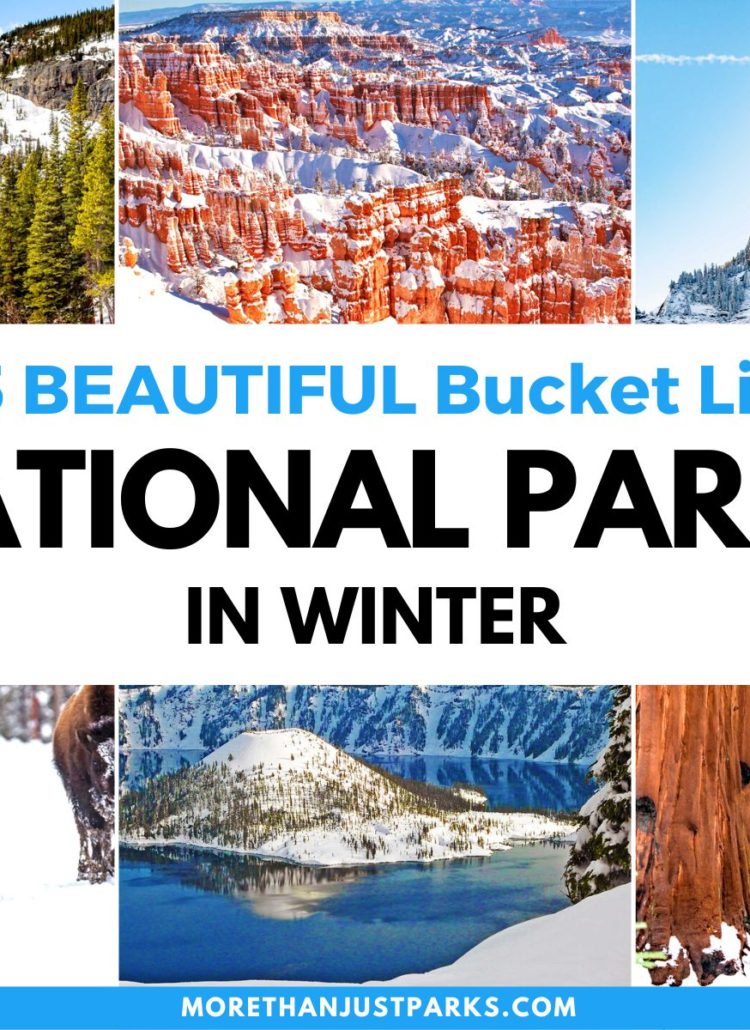 15 Stunning National Parks in Winter Worth Visiting (+ Photos)