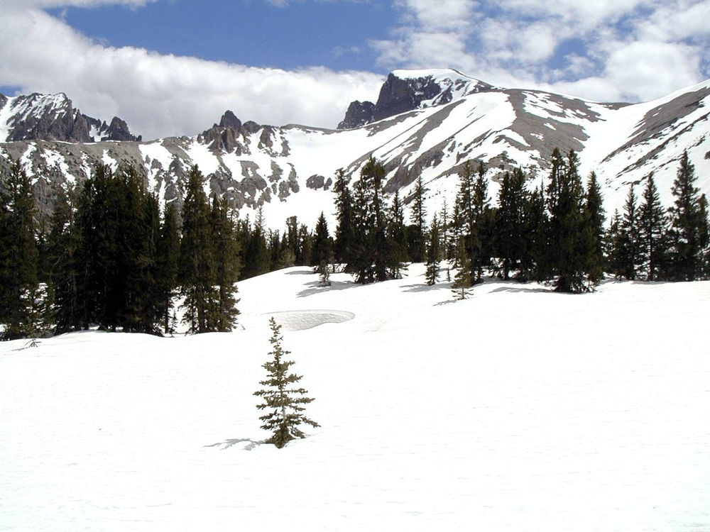 Winter on Wheeler Peak | Great Basin National Park Facts 