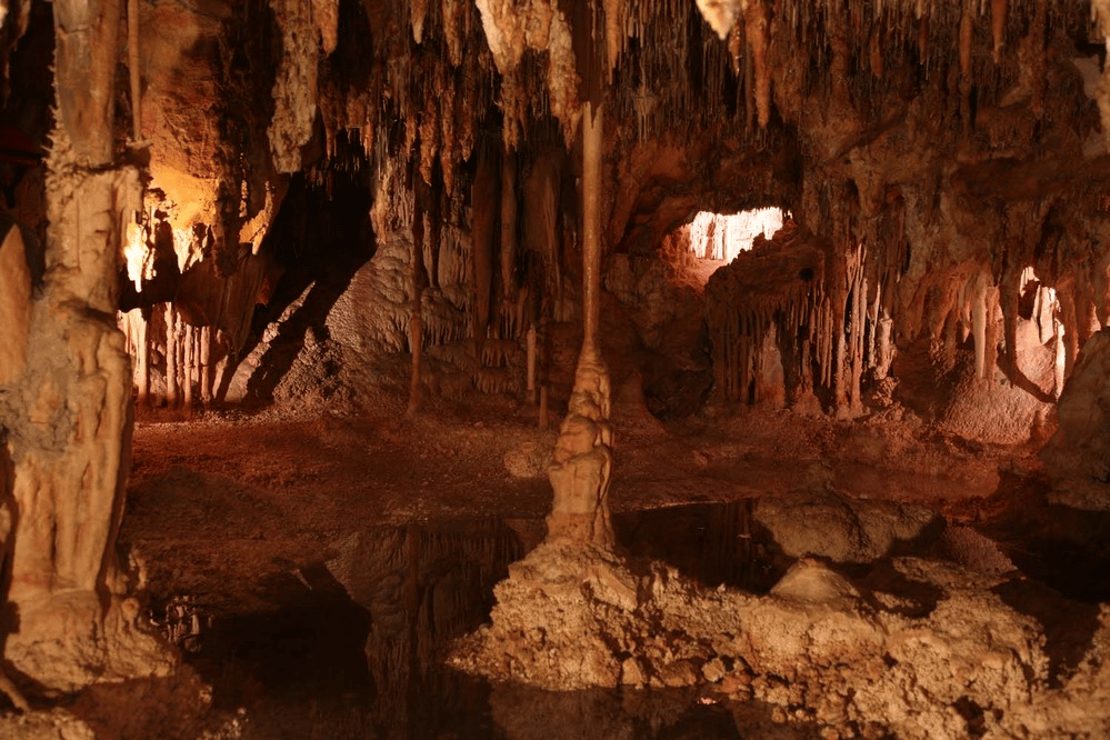 Pools found in Lehman Caves