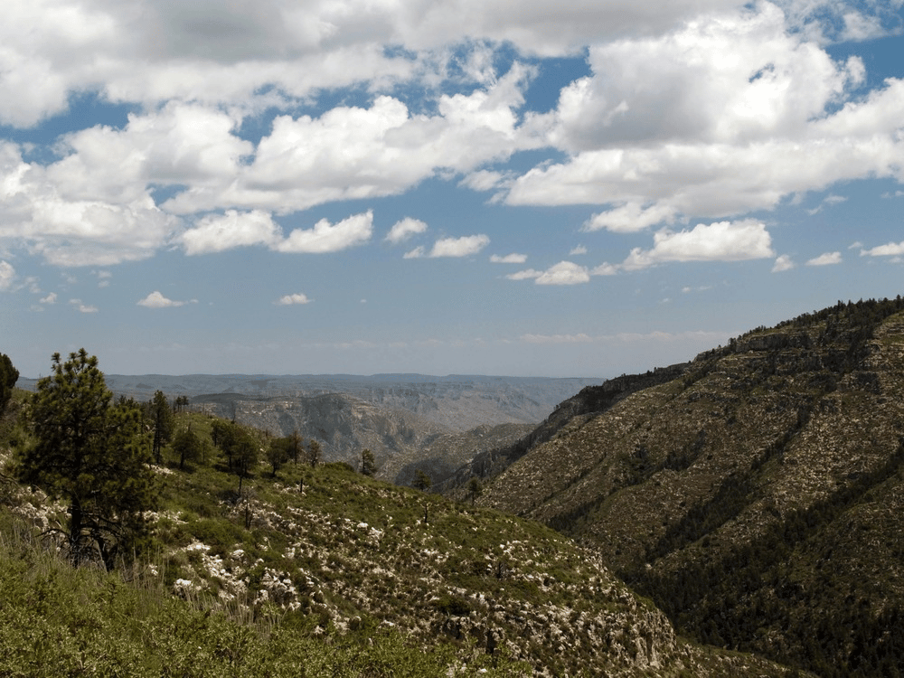 The high mesas and ridges of the Guadalupe Mountains stretch northeastward beyond the depths of upper McKittrick Canyon