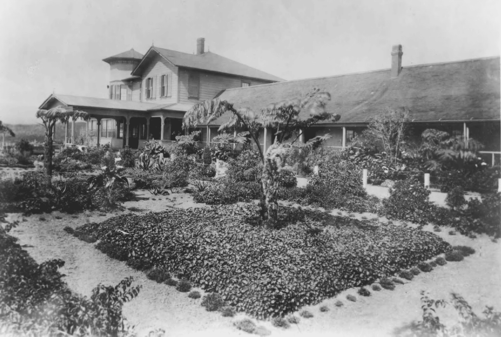 1891 Volcano House, circa 1892- 1895